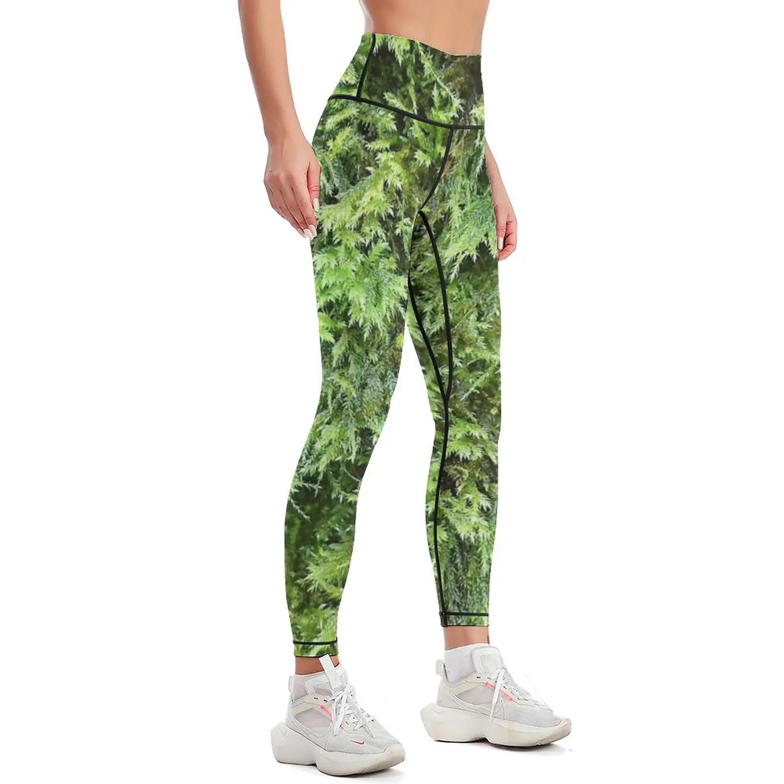Fotografía de musgo 1 Leggings - Photography Yoga reseña y precio