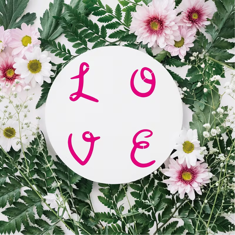 Juego de 26 plantillas de alfa - Photography Font reseña y precio